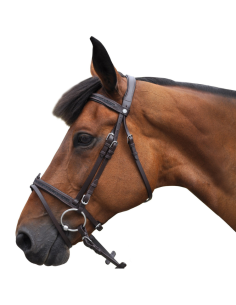 Bridon Canter Black Strass