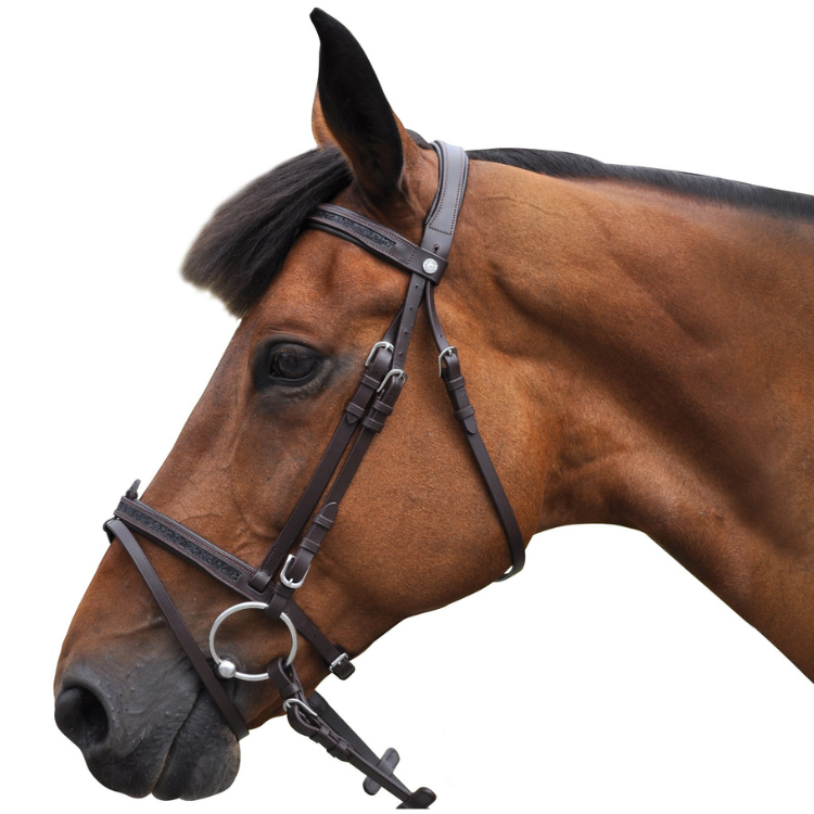 Bridon Canter Black Strass