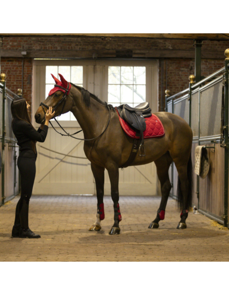 Ensemble Guêtres + Protège-boulets Lami-Cell Elite Rouge