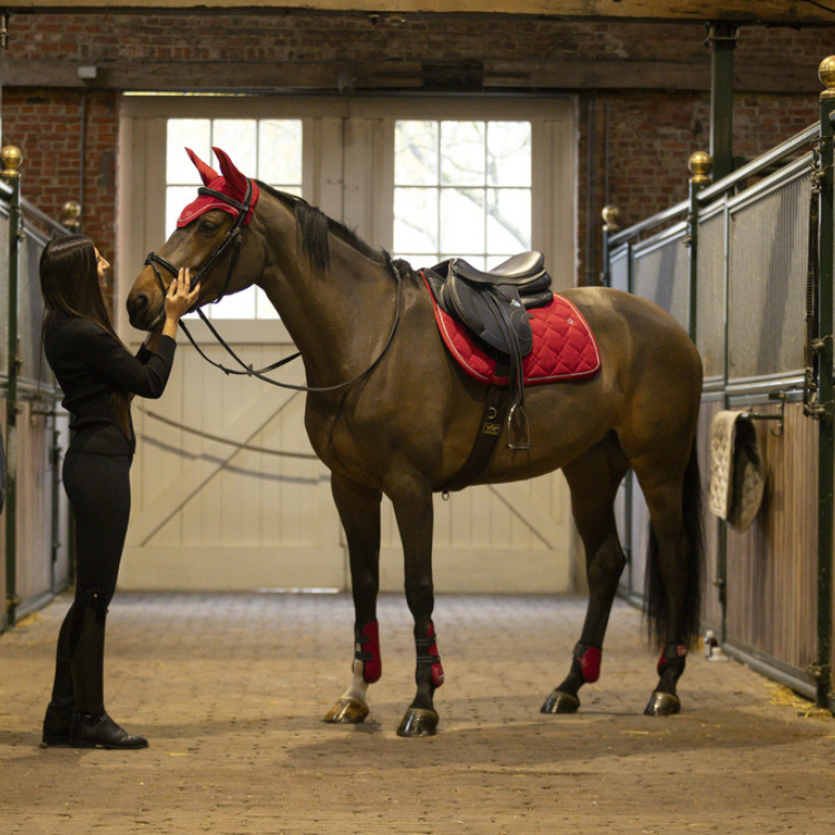 Ensemble Guêtres + Protège-boulets Lami-Cell Elite Rouge