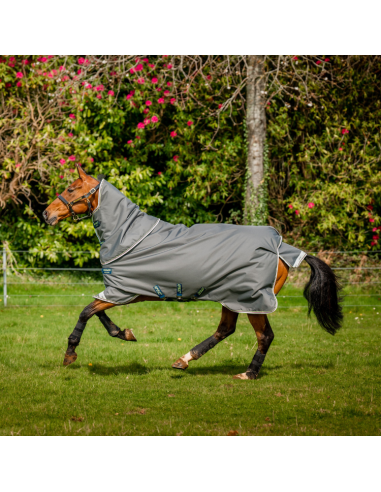 Horseware Amigo Bravo 12 Plus Rug 250grs grey