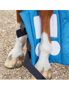 Sous-couches Premier Equine Pour Guêtres Magni-Teque Bleu 2