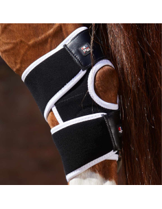 Guêtres Magnétiques Premier Equine Magni-Teque Jarrets Noir 2