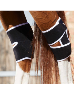 Guêtres Magnétiques Premier Equine Magni-Teque Jarrets Noir