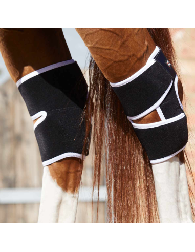 Premier Equine Magni-Teque Magnetick Hock Boots Black