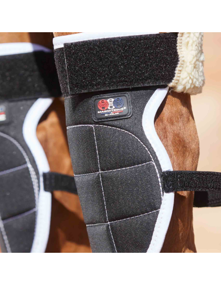 Guêtres Magnétiques Premier Equine Magni-Teque Genoux Noir