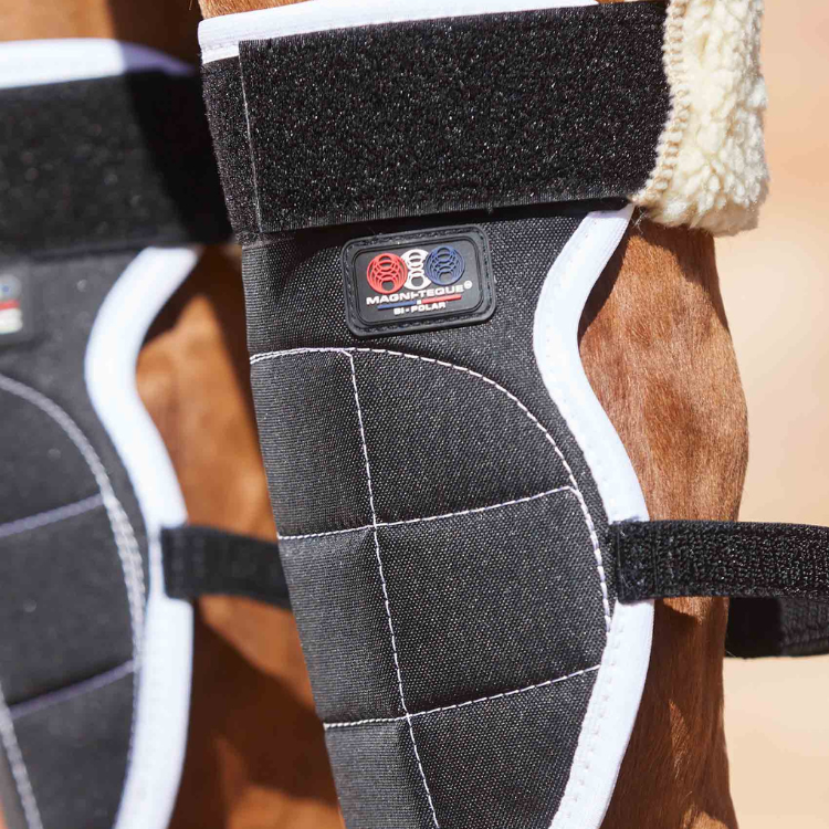 Guêtres Magnétiques Premier Equine Magni-Teque Genoux Noir
