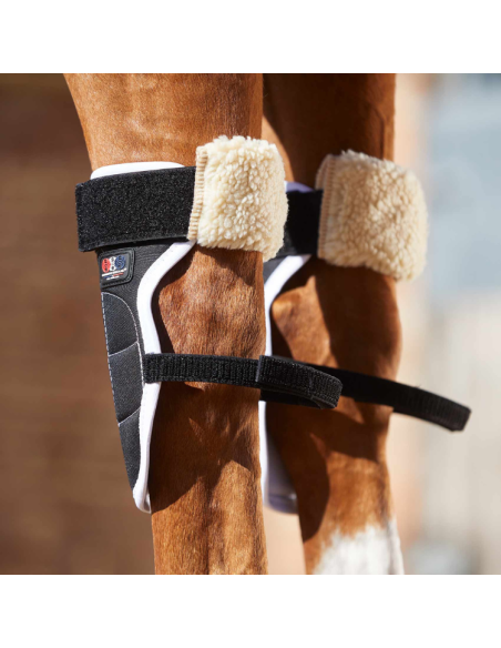 Guêtres Magnétiques Premier Equine Magni-Teque Genoux Noir