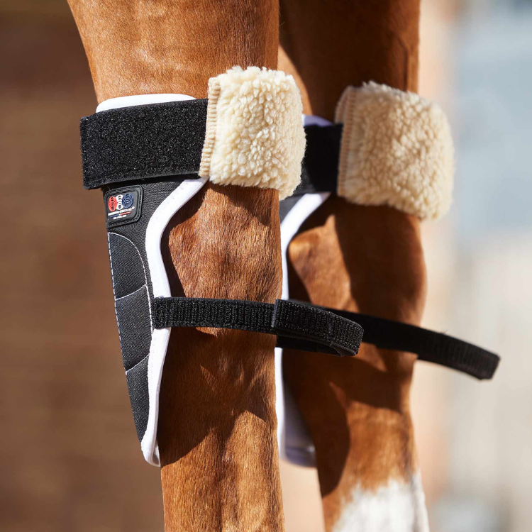 Guêtres Magnétiques Premier Equine Magni-Teque Genoux Noir