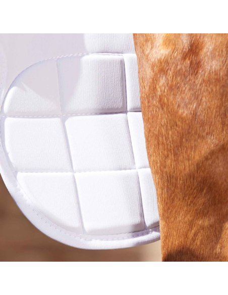 Guêtres Magnétiques Premier Equine Magni-Teque Genoux Noir