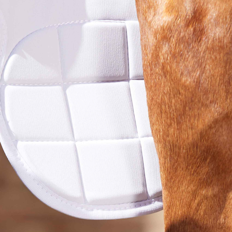 Guêtres Magnétiques Premier Equine Magni-Teque Genoux Noir