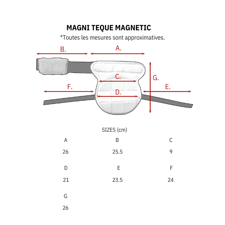 Guêtres Magnétiques Premier Equine Magni-Teque Genoux Noir Guide des tailles