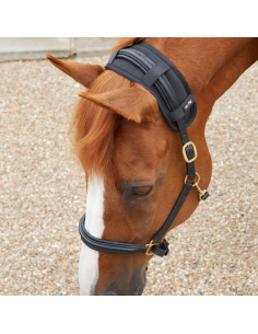 Protège nuque Magnétique Premier Equine Magni-Teque Noir 2