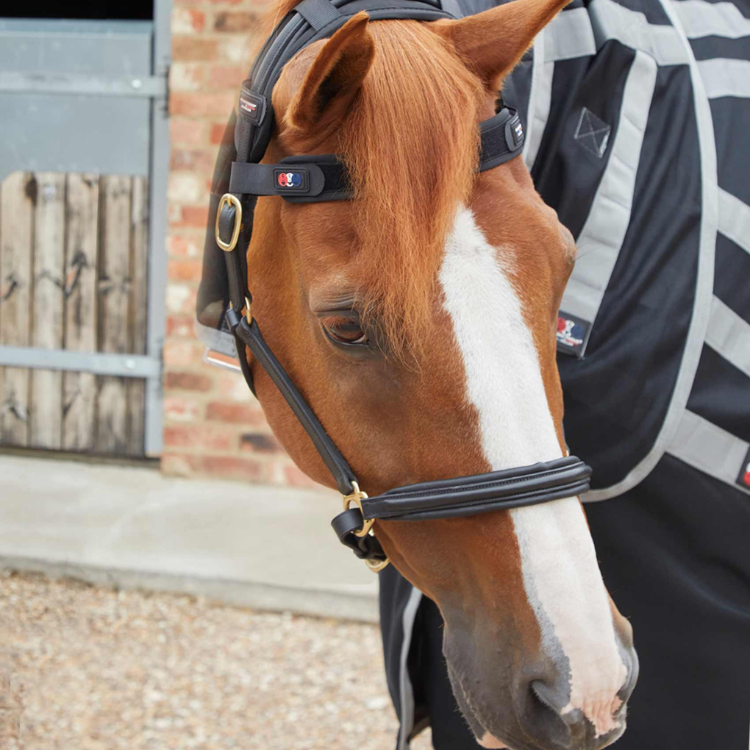 Frontal Magnétique Premier Equine Magni-Teque Noir