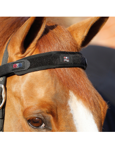 Frontal Magnétique Premier Equine Magni-Teque Noir