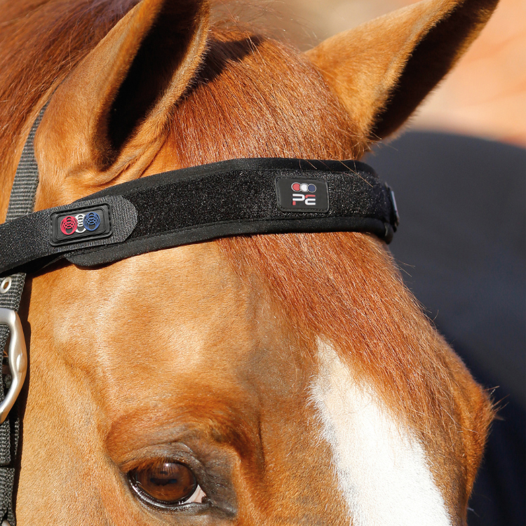 Frontal Magnétique Premier Equine Magni-Teque Noir