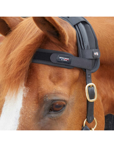 Frontal Magnétique Premier Equine Magni-Teque Noir