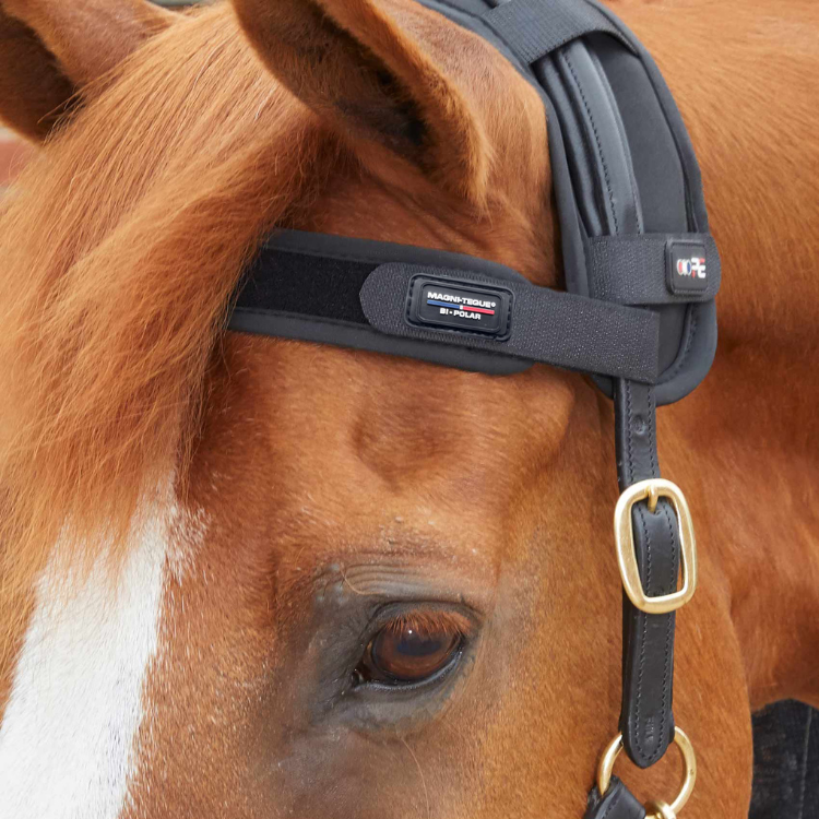 Frontal Magnétique Premier Equine Magni-Teque Noir