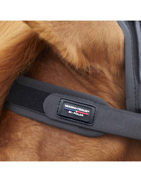 Frontal Magnétique Premier Equine Magni-Teque Noir