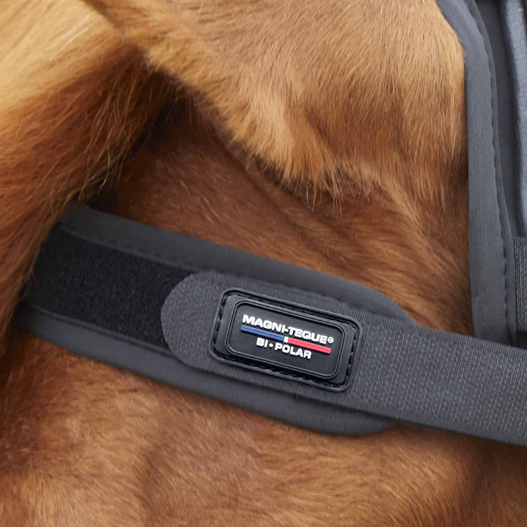 Frontal Magnétique Premier Equine Magni-Teque Noir