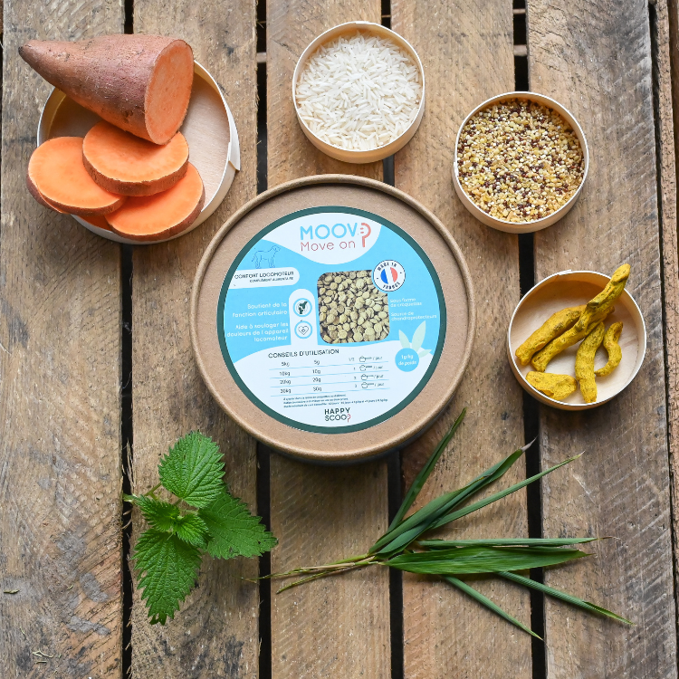 Complément Happy Scoop Moov 300g