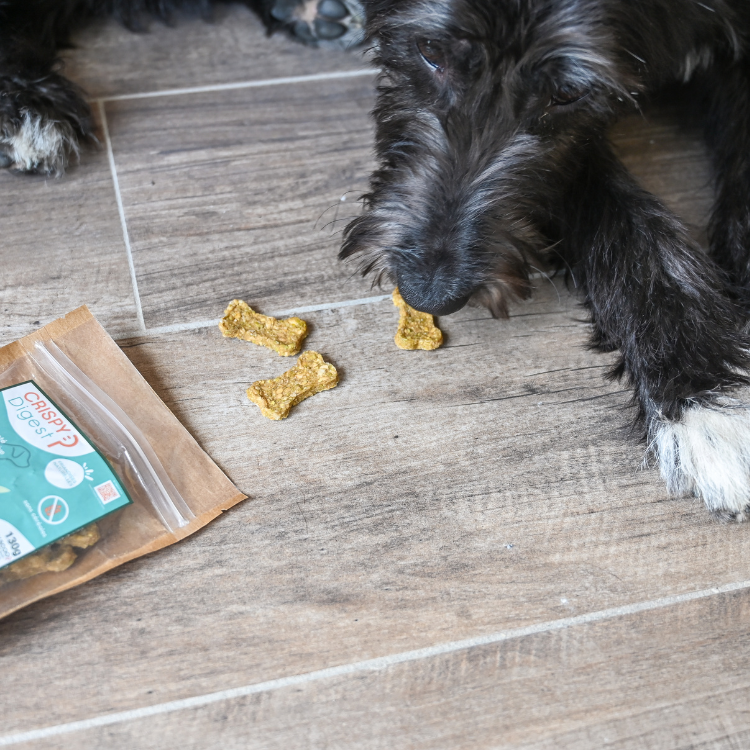 Friandises Happy Scoop Crispy Digest 130g