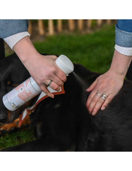 Spray Happy Scoop Paraspray 300ml