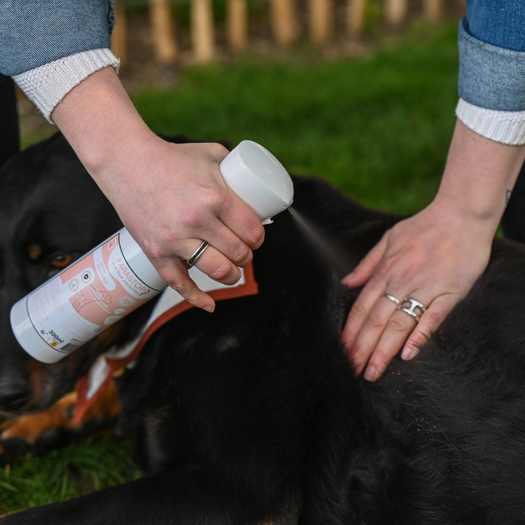 Spray Happy Scoop Paraspray 300ml