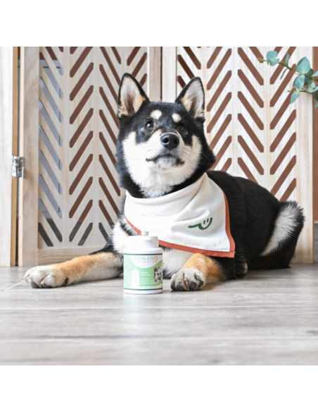 Complément Happy Scoop Worless 15g