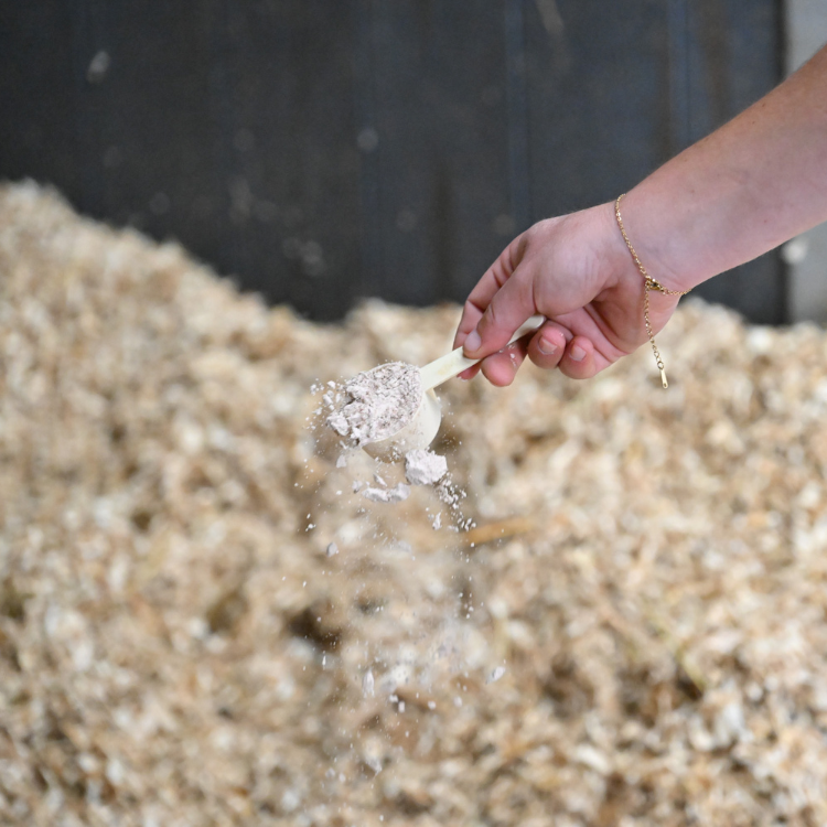 Poudre Natural'Innov Natural'Absorb 5kg