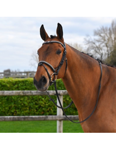 Bridon Jump'In One Premium Clincher Havane 2