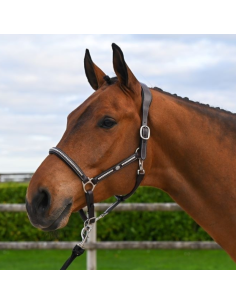Licol Jump'In One Premium Clincher Havane 2
