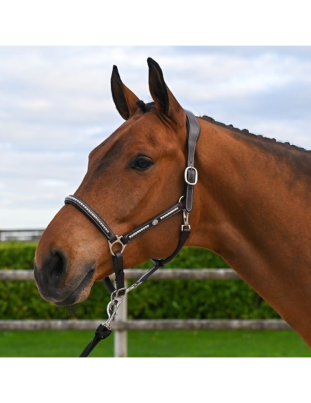 Licol Jump'In One Premium Clincher Noir