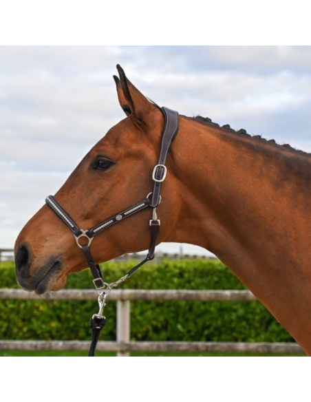 Licol Jump'In One Premium Clincher Noir