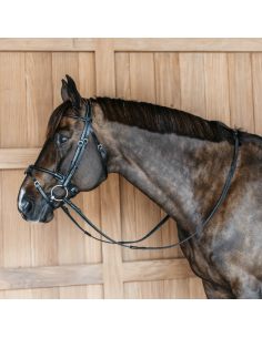 Dy'On Bridle Round Leather Working 2