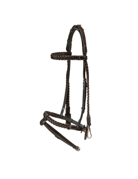 Dy'On Plaited Training Working Bridle