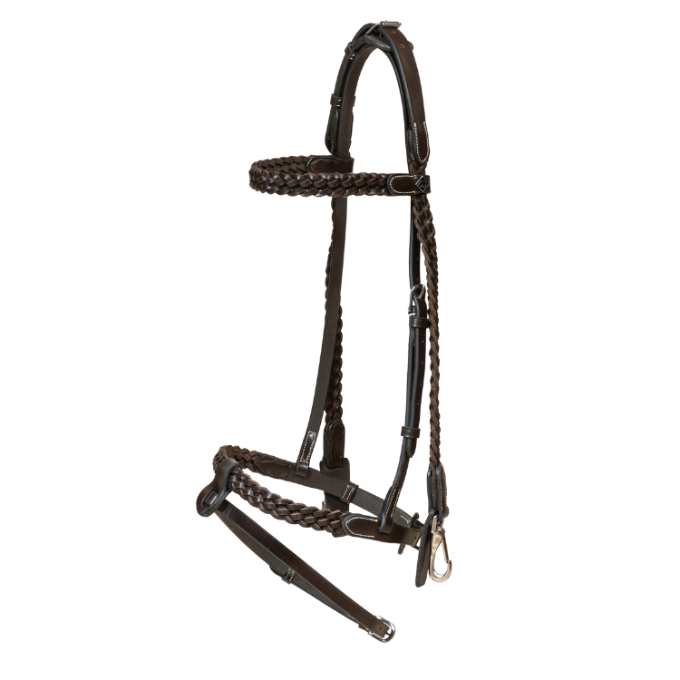 Dy'On Plaited Training Working Bridle