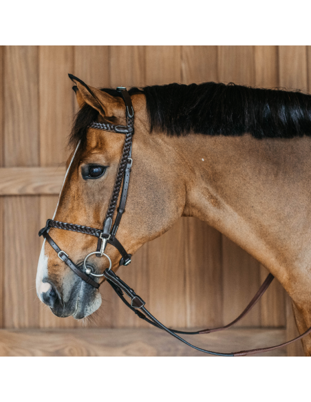 Dy'On Plaited Training Working Bridle