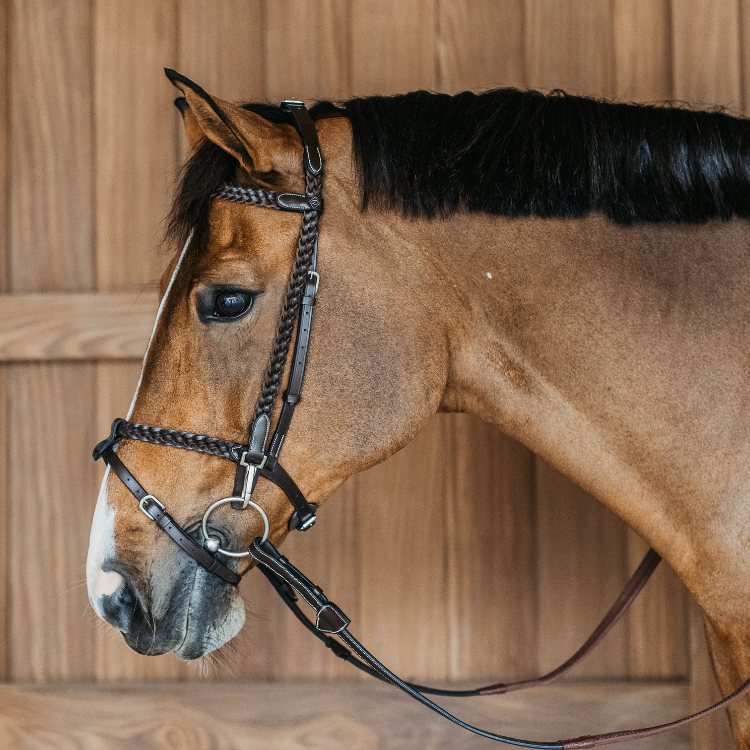 Dy'On Plaited Training Working Bridle