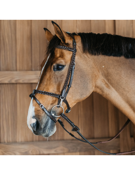 Dy'On Plaited Training Working Bridle