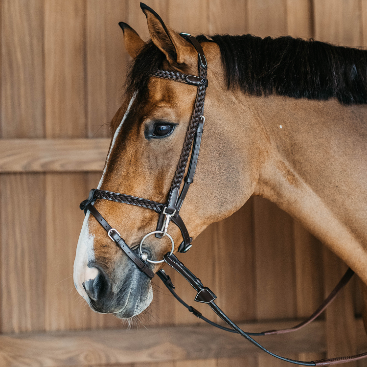 Dy'On Plaited Training Working Bridle