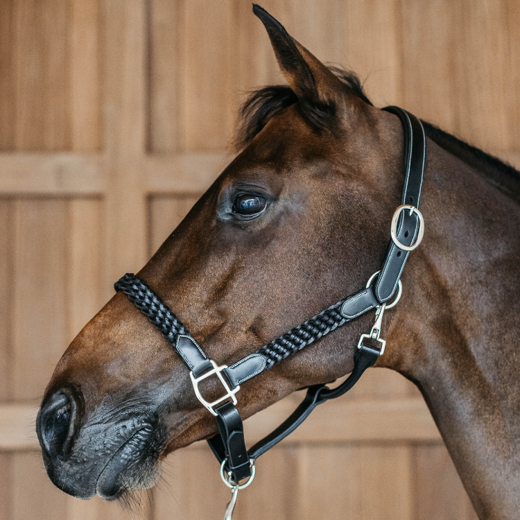 Rênes Mecate Tressées Nylon – 5/8″ X 22′, Noir, Avec Slobber Straps, Pour Cheval Training