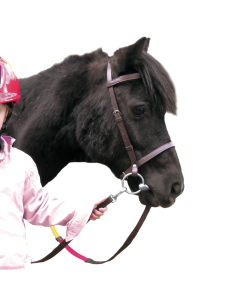 Bridon Canter Educatif