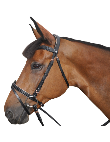 Bridle Canter Pink Gold