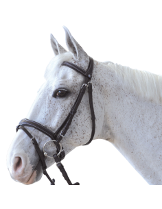 Bridon Canter Ornella