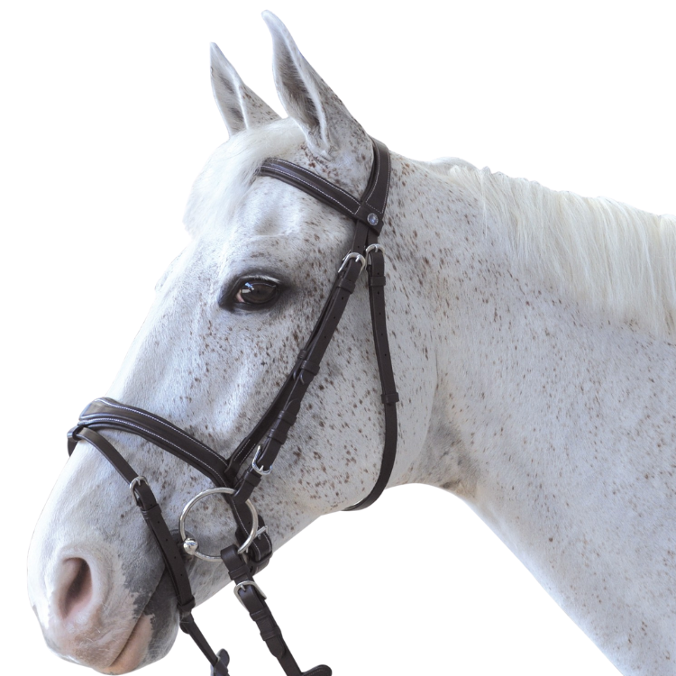 Bridon Canter Ornella
