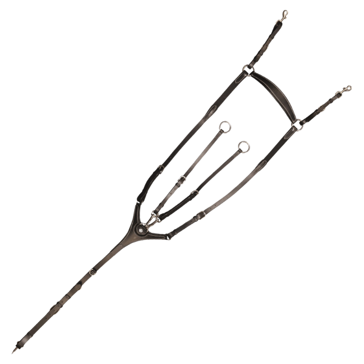 Collier de Chasse Canter