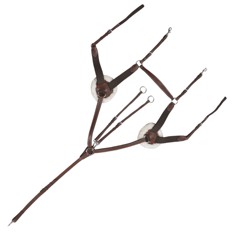 Collier de Chasse Canter 5 points