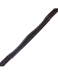 Têtière Canter Marron 2