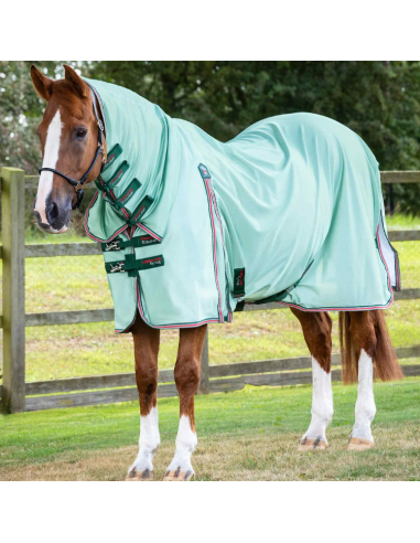Premier Equine Combo Mesh Air Fly Rug Mint green